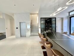 Tuan Sing Park (D28), Semi-Detached #600141191